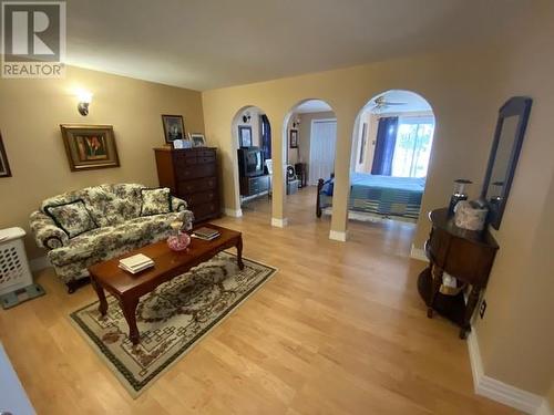 25 Road To The Isles Other, Summerford, NL - Indoor Photo Showing Living Room