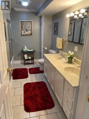 25 Road To The Isles Other, Summerford, NL - Indoor Photo Showing Bathroom