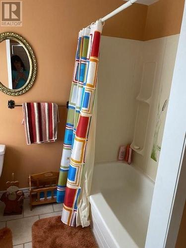 25 Road To The Isles Other, Summerford, NL - Indoor Photo Showing Bathroom