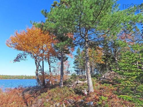 Lot 7 Theresa, Third Lake Lane, Grande Anse, NS 