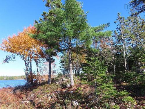 Lot 7 Theresa, Third Lake Lane, Grande Anse, NS 