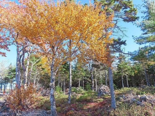 Lot 7 Theresa, Third Lake Lane, Grande Anse, NS 