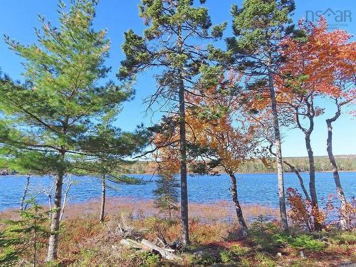 Lot 7 Theresa, Third Lake Lane, Grande Anse, NS 