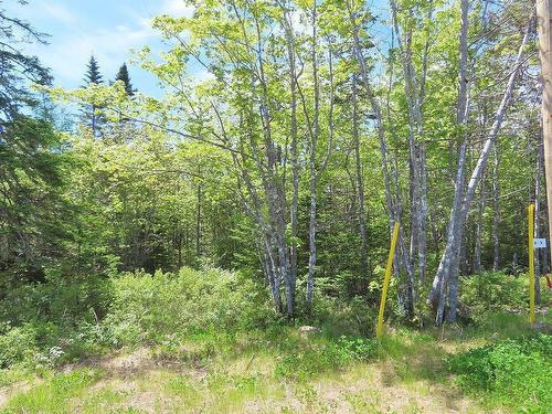 Lot 2 Perry Lane, Lennox Passage, NS 