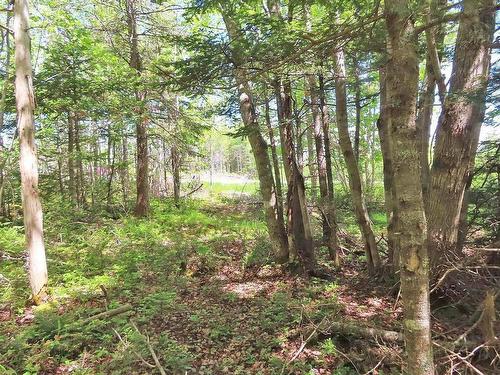 Lot 2 Perry Lane, Lennox Passage, NS 