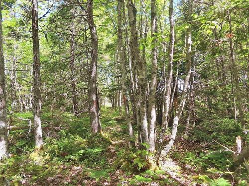 Lot 2 Perry Lane, Lennox Passage, NS 