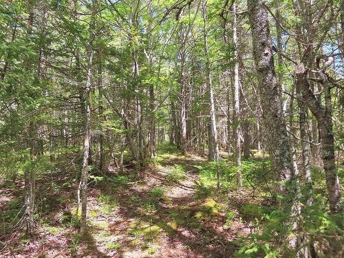 Lot 2 Perry Lane, Lennox Passage, NS 