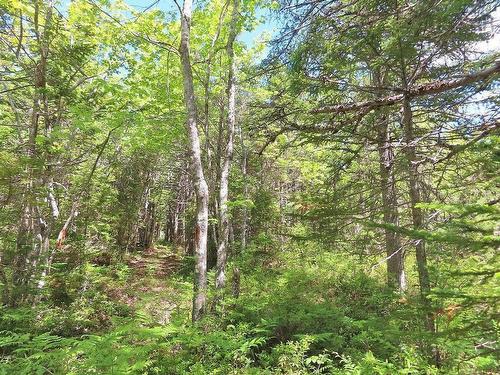 Lot 2 Perry Lane, Lennox Passage, NS 