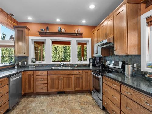 609 Wild Rose Drive, Merritt, BC - Indoor Photo Showing Kitchen With Double Sink