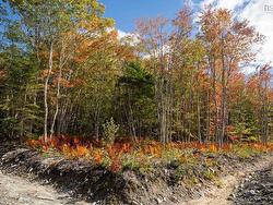 89 Morton Drive  Liverpool, NS B0T 1K0