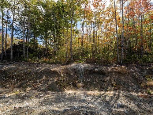 90 Morton Drive, Liverpool, NS 