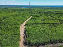 90 Morton Drive, Liverpool, NS 