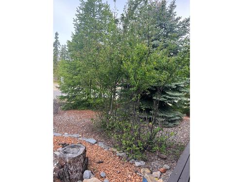 202 Forest Crowne Close, Kimberley, BC - Outdoor