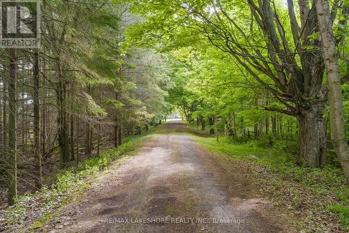 212 Clouston Road, Alnwick/Haldimand, ON - Outdoor With View