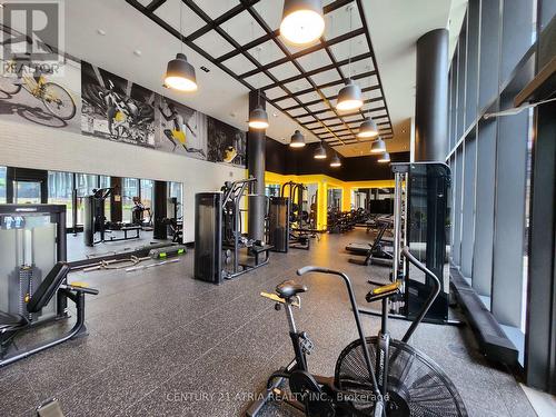 S304 - 35 Rolling Mills Road, Toronto C08, ON - Indoor Photo Showing Gym Room