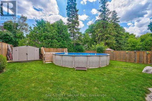 313 Patricia Avenue, Toronto (Newtonbrook West), ON - Outdoor With Above Ground Pool With Backyard