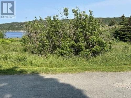 22 Harbour Road, New Chelsea, NL - Outdoor With View