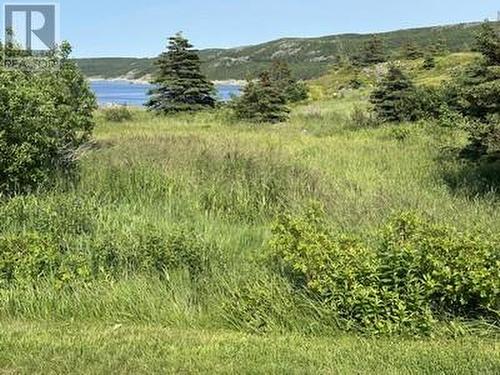 22 Harbour Road, New Chelsea, NL - Outdoor With View