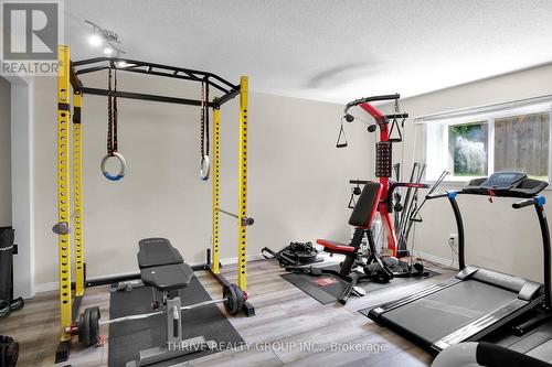 307 Frances Street, Central Elgin (Port Stanley), ON - Indoor Photo Showing Gym Room