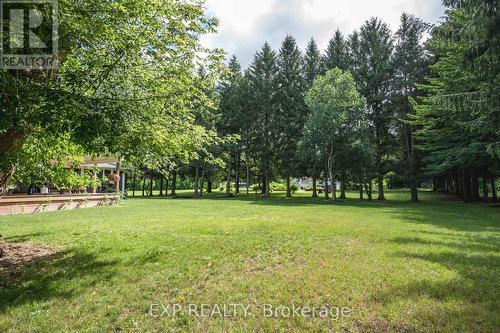 15198 St. Ignatius Line, Chatham-Kent (Bothwell), ON - Outdoor