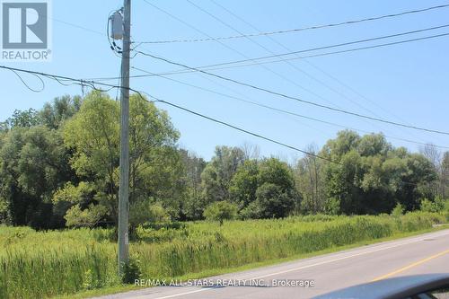 0 Metro Road, Georgina (Historic Lakeshore Communities), ON 