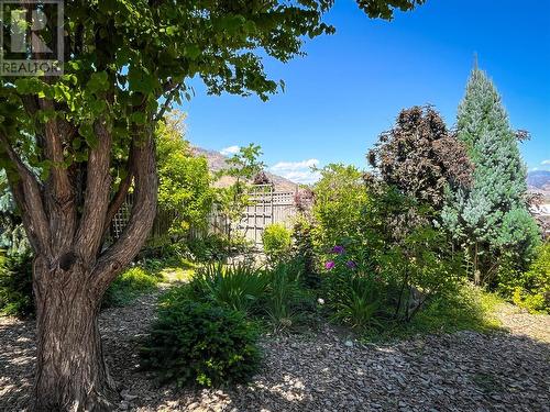 3808 Cypress Hills Drive, Osoyoos, BC - Outdoor With View