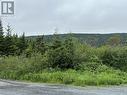 1634-174 Forest Road, Carbonear, NL 