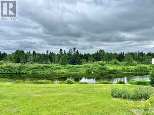 81 Maple Street, Badger, NL - Outdoor With View