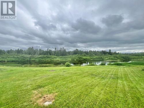 81 Maple Street, Badger, NL - Outdoor With View