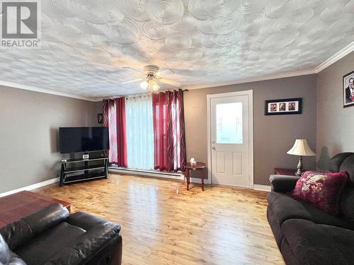 81 Maple Street, Badger, NL - Indoor Photo Showing Living Room