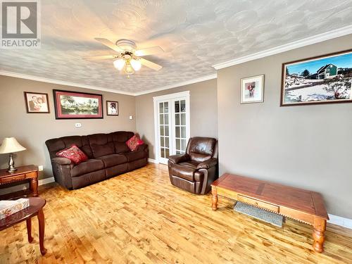 81 Maple Street, Badger, NL - Indoor Photo Showing Living Room