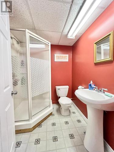 81 Maple Street, Badger, NL - Indoor Photo Showing Bathroom