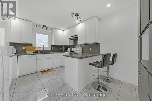 111 Morton Way, Brampton, ON - Indoor Photo Showing Kitchen With Double Sink