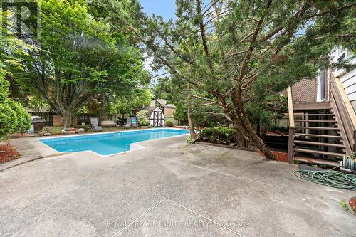 3547 Ellesmere Road, Toronto, ON - Outdoor With In Ground Pool