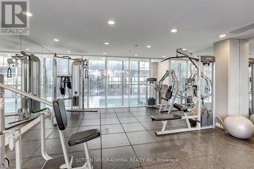 208 - 390 Cherry Street, Toronto C08, ON - Indoor Photo Showing Gym Room