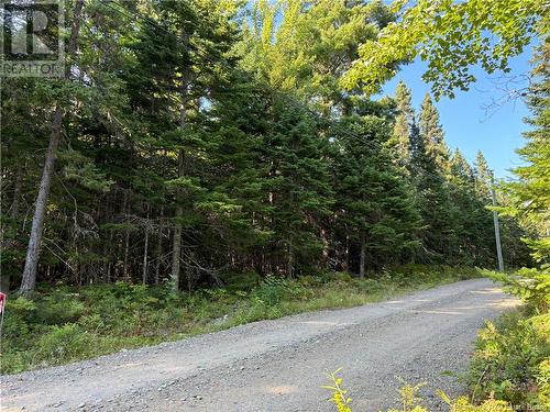 3.5 Acre Bossman Drive, Blackville, NB 