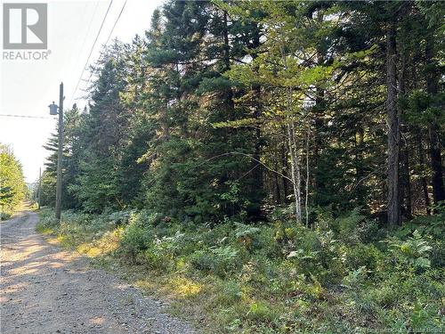 3.5 Acre Bossman Drive, Blackville, NB 