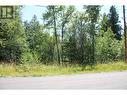 Lot 165 Estate Close, Anglemont, BC 