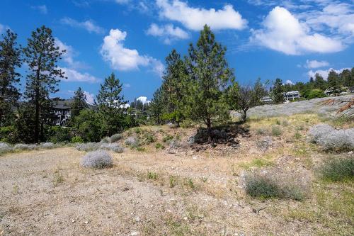 6446 Renfrew Road, Peachland, BC - Outdoor With View