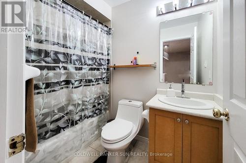 112 Meadow Wood Crescent, Hamilton, ON - Indoor Photo Showing Bathroom