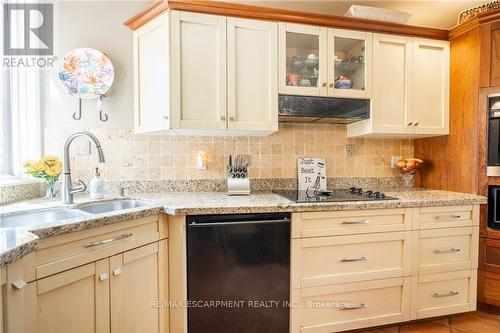 101 Hillcrest Avenue, Hamilton, ON - Indoor Photo Showing Kitchen With Double Sink With Upgraded Kitchen