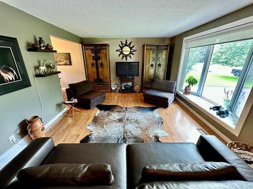 714 Confederation Drive, Thunder Bay, ON - Indoor Photo Showing Living Room