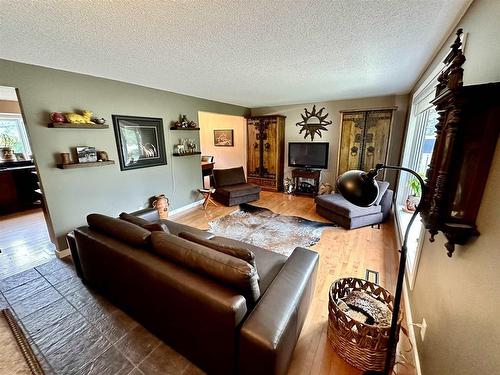 714 Confederation Drive, Thunder Bay, ON - Indoor Photo Showing Living Room