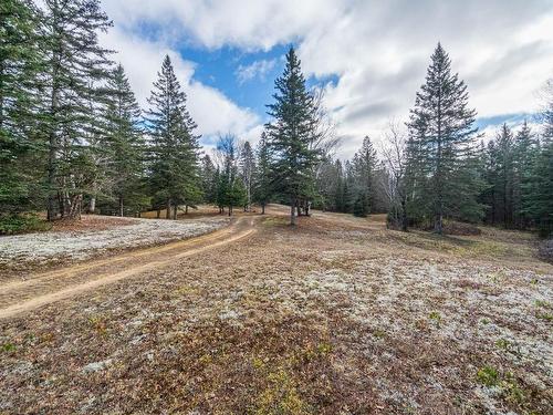 Land/Lot - 4265Z Ch. De La Gare, Labelle, QC 