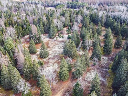 Land/Lot - 4265Z Ch. De La Gare, Labelle, QC 