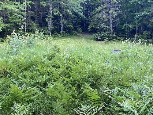 Lot 10 Pigott Lake Road, Lakelands, NS 