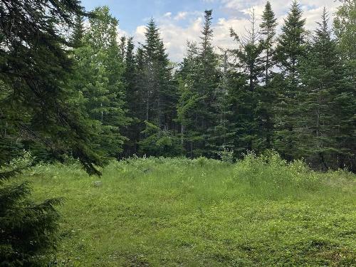 Lot 10 Pigott Lake Road, Lakelands, NS 