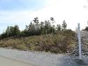 Lot 32 Goldstream Heights Dr, Shawnigan Lake, BC 