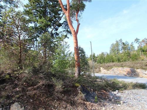 Lot 32 Goldstream Heights Dr, Shawnigan Lake, BC 