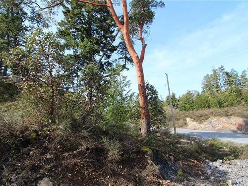 Lot 32 Goldstream Heights Dr, Shawnigan Lake, BC 